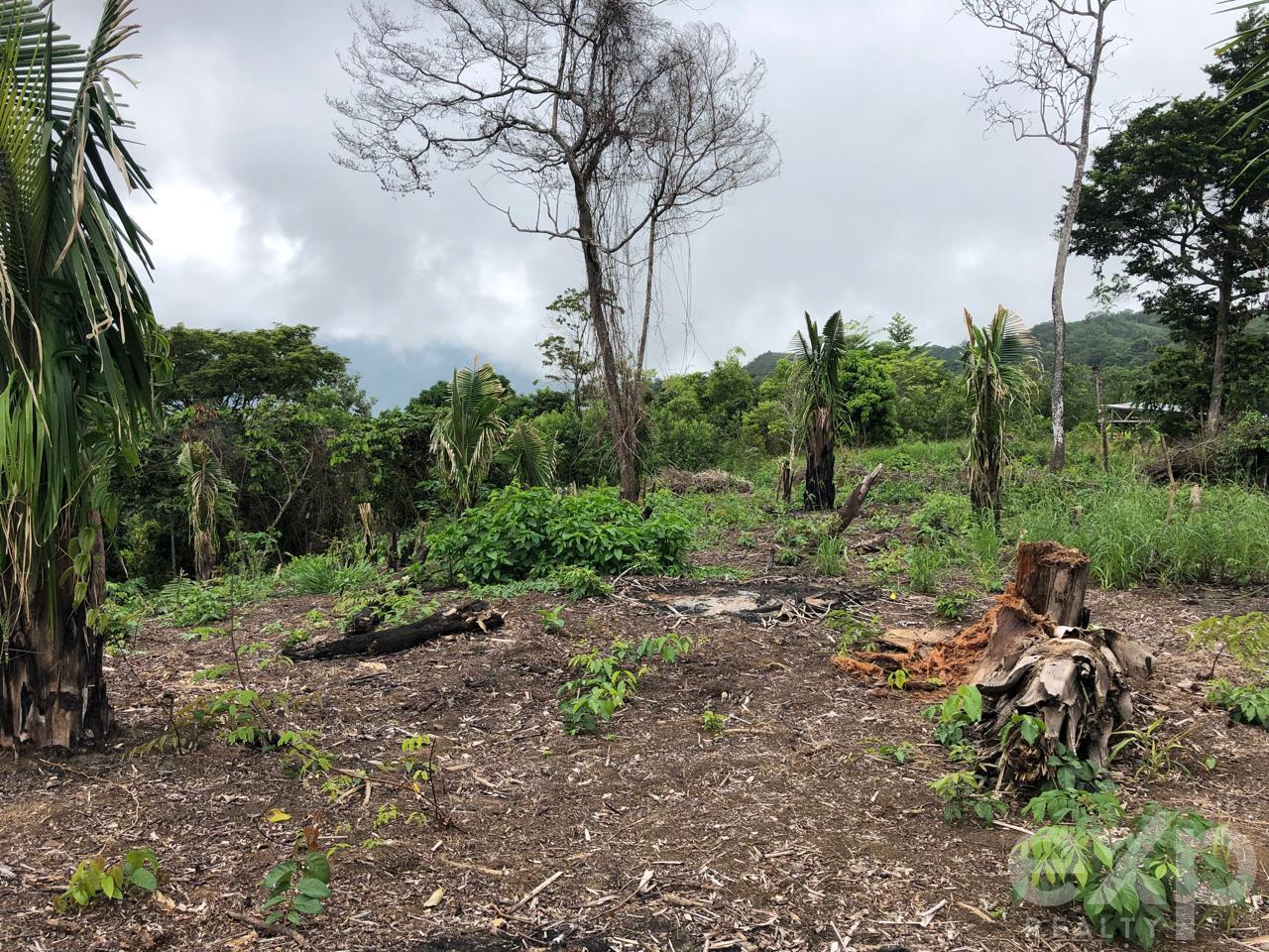 Land en venta en SAN MARTIN | Tarapoto | Tarapoto, Predio Rural Qipakana 01, Sector Mamuytachi, Valle Huallaga Central y Bajo Mayo, distrito de San Antonio, Tarapoto – San Martín, 1005 m²