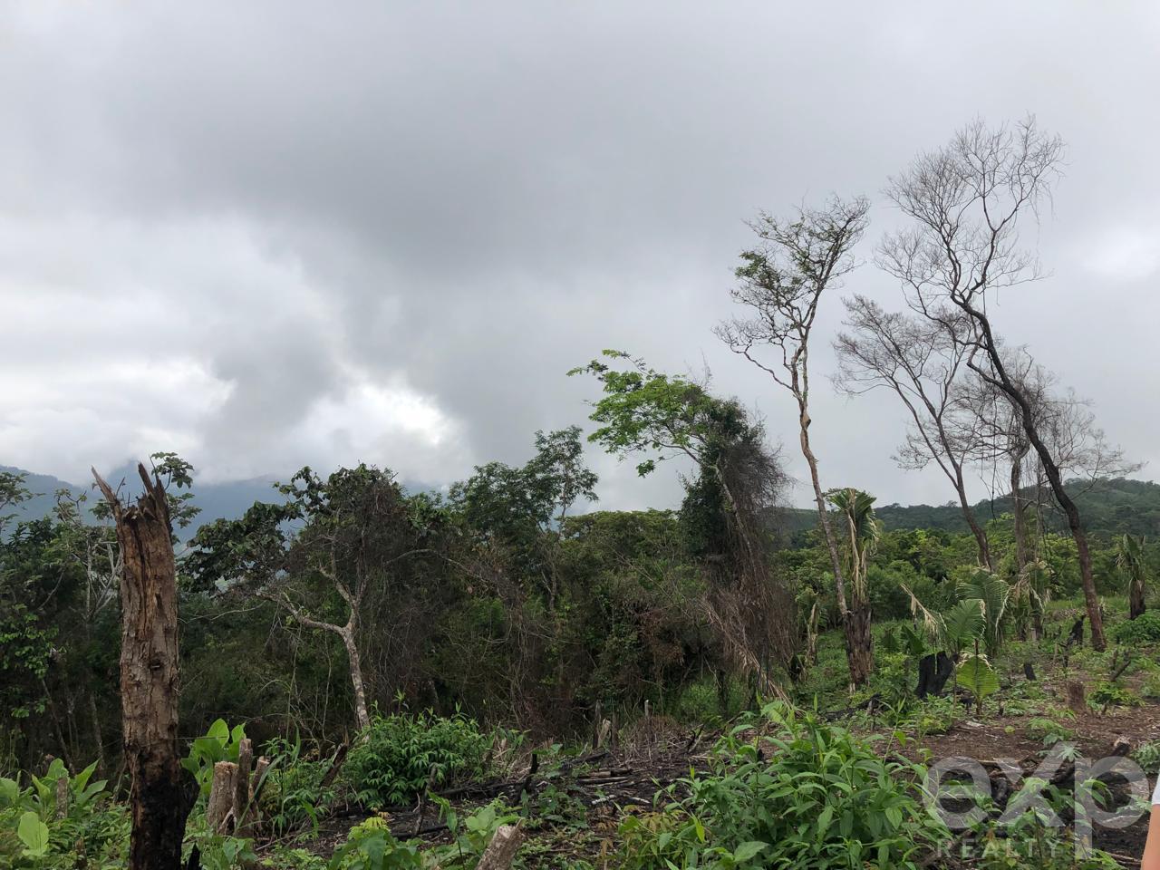 Land en venta en San Martin | SAN MARTIN | Tarapoto, Predio Rural Qipakana 02, Sector Mamuytachi, Valle Huallaga Central y Bajo Mayo, distrito de San Antonio, Tarapoto – San Martín.redio Rural Qipakana 02, Sector Mamuytachi, Valle Huallaga Central y Baj, 1005 m²