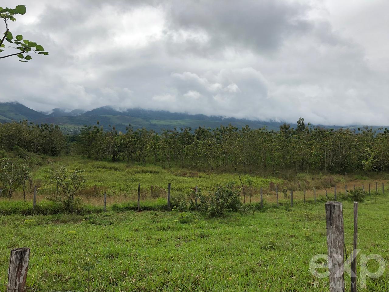 Land en venta en San Martin | SAN MARTIN | Tarapoto, Predio Rural Qipakana 02, Sector Mamuytachi, Valle Huallaga Central y Bajo Mayo, distrito de San Antonio, Tarapoto – San Martín.redio Rural Qipakana 02, Sector Mamuytachi, Valle Huallaga Central y Baj, 1005 m²
