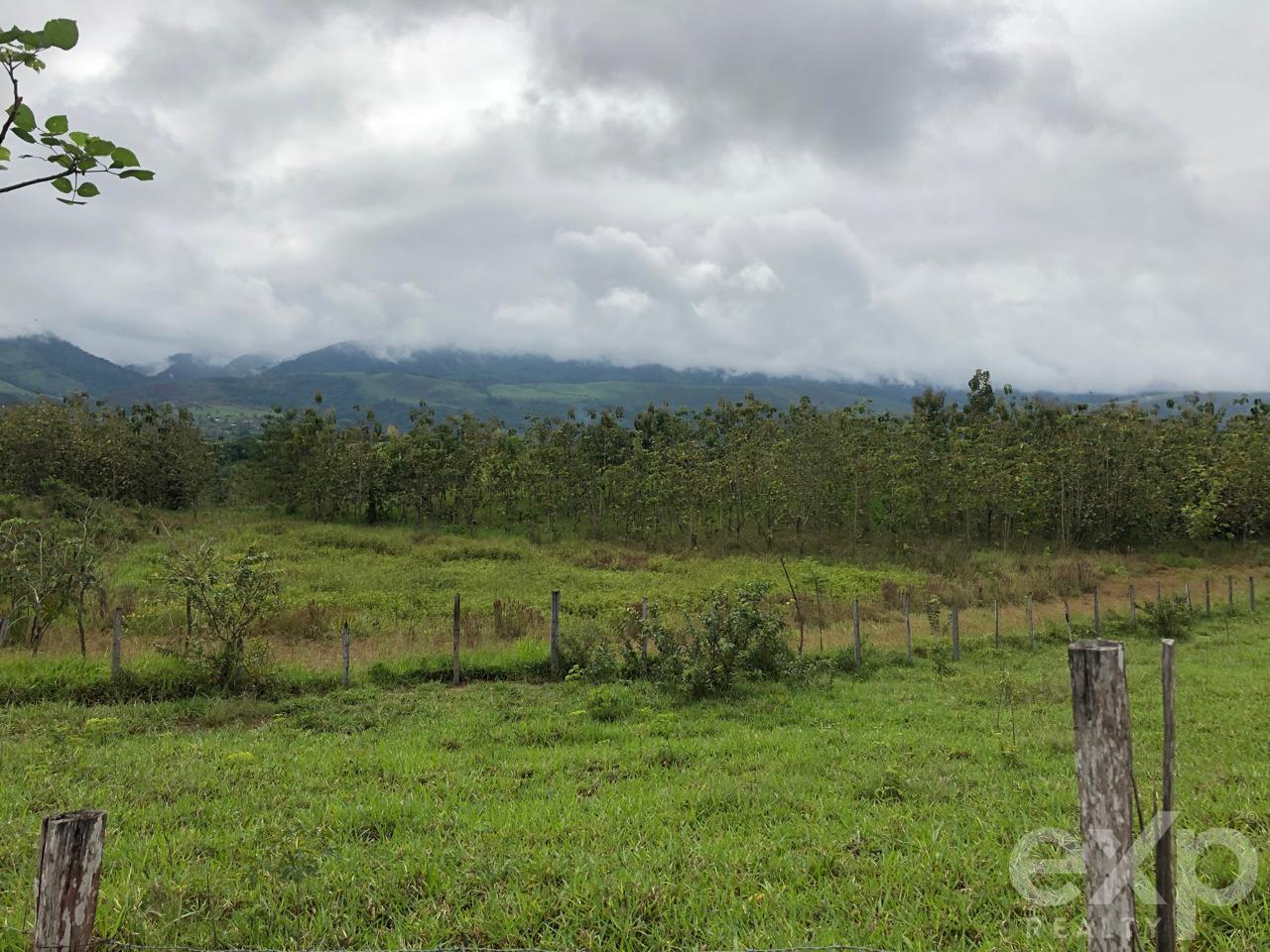 Land en venta en San Martin | SAN MARTIN | Tarapoto, SSector Mamuytachi, Valle Huallaga Central y Bajo Mayo, distrito de San Antonio, Tarapoto – San Martín.ector Mamuytachi, Valle Huallaga Central y Bajo Mayo, distrito de San Antonio, Tarapoto – San Mar, 1037 m²