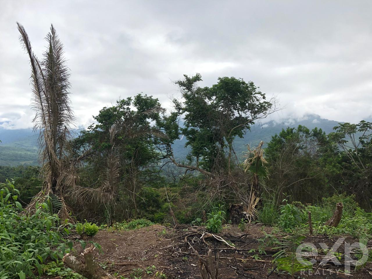 Land en venta en San Martin | SAN MARTIN | Tarapoto, SSector Mamuytachi, Valle Huallaga Central y Bajo Mayo, distrito de San Antonio, Tarapoto – San Martín.ector Mamuytachi, Valle Huallaga Central y Bajo Mayo, distrito de San Antonio, Tarapoto – San Mar, 1037 m²