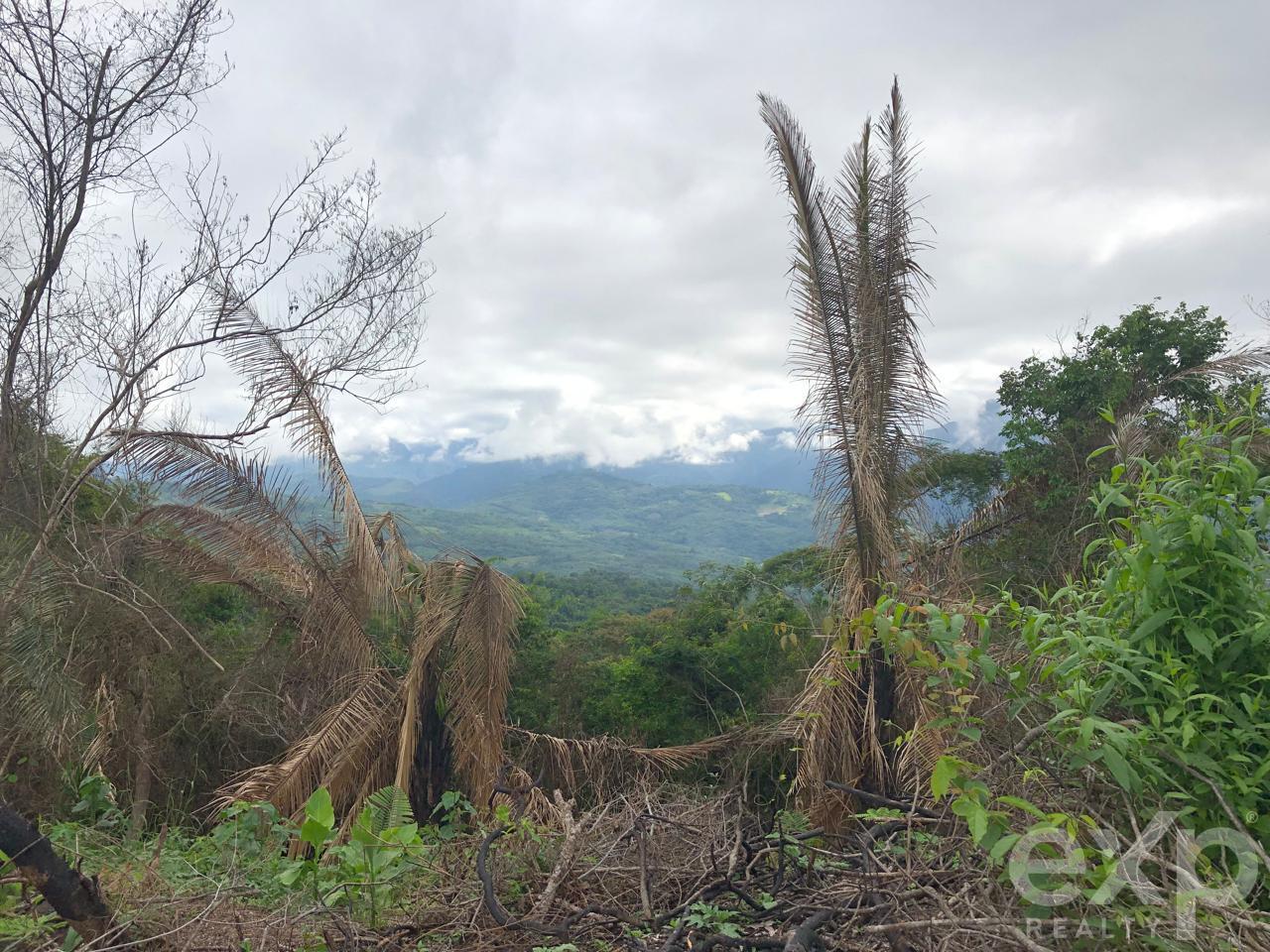Land en venta en San Martin | SAN MARTIN | Tarapoto, SSector Mamuytachi, Valle Huallaga Central y Bajo Mayo, distrito de San Antonio, Tarapoto – San Martín.ector Mamuytachi, Valle Huallaga Central y Bajo Mayo, distrito de San Antonio, Tarapoto – San Mar, 1037 m²