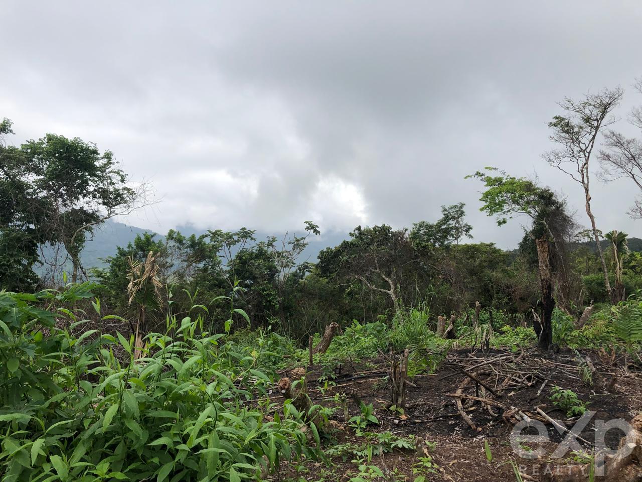 Land en venta en San Martin | SAN MARTIN | Tarapoto, Sector Mamuytachi, Valle Huallaga Central y Bajo Mayo, distrito de San Antonio, Tarapoto – San Martín., 1010 m²