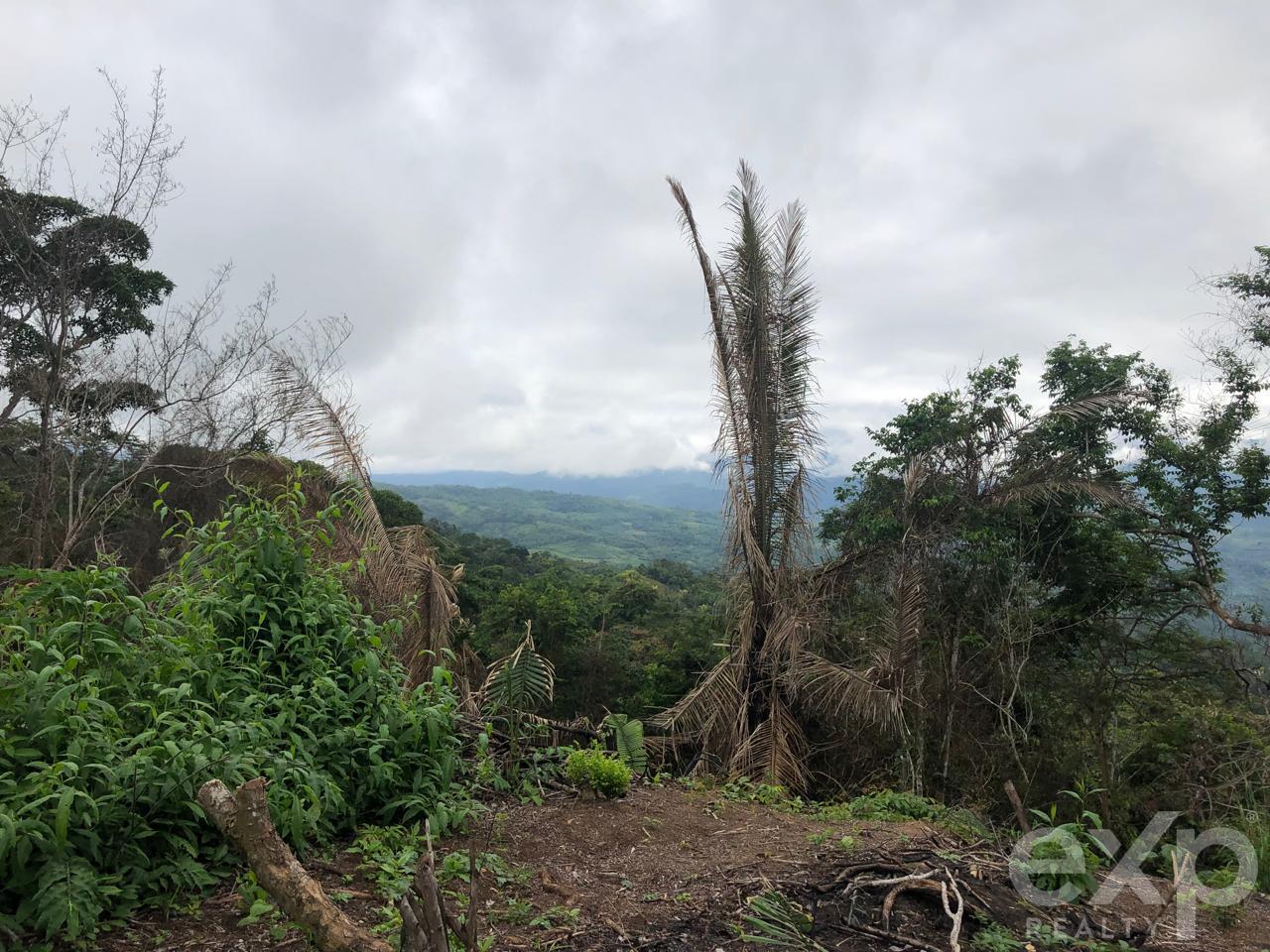 Land en venta en San Martin | SAN MARTIN | Tarapoto, Sector Mamuytachi, Valle Huallaga Central y Bajo Mayo, distrito de San Antonio, Tarapoto – San Martín., 1010 m²