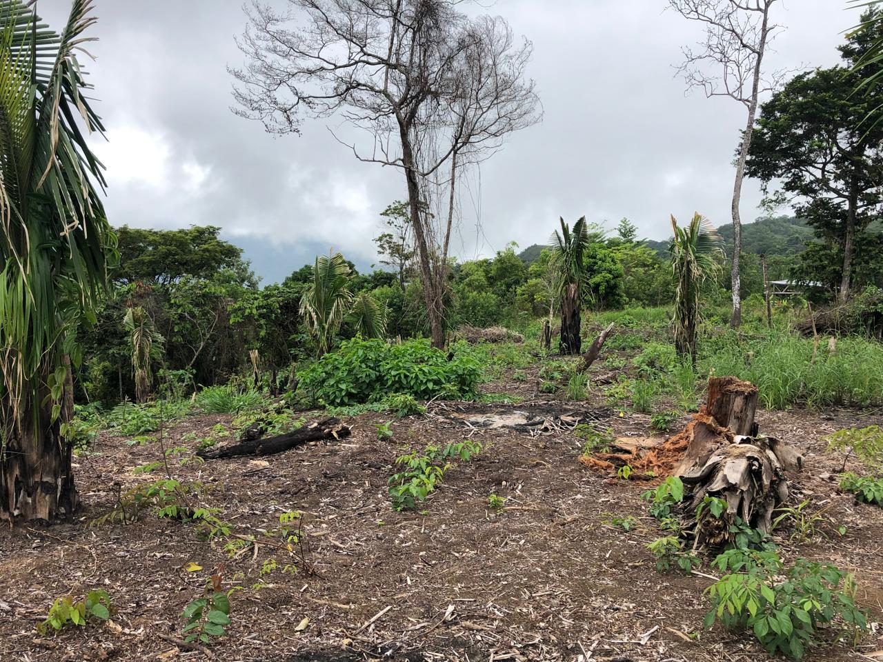 Land en venta en San Martin | SAN MARTIN | Tarapoto, Sector Mamuytachi, Valle Huallaga Central y Bajo Mayo, distrito de San Antonio, Tarapoto – San Martín., 1010 m²