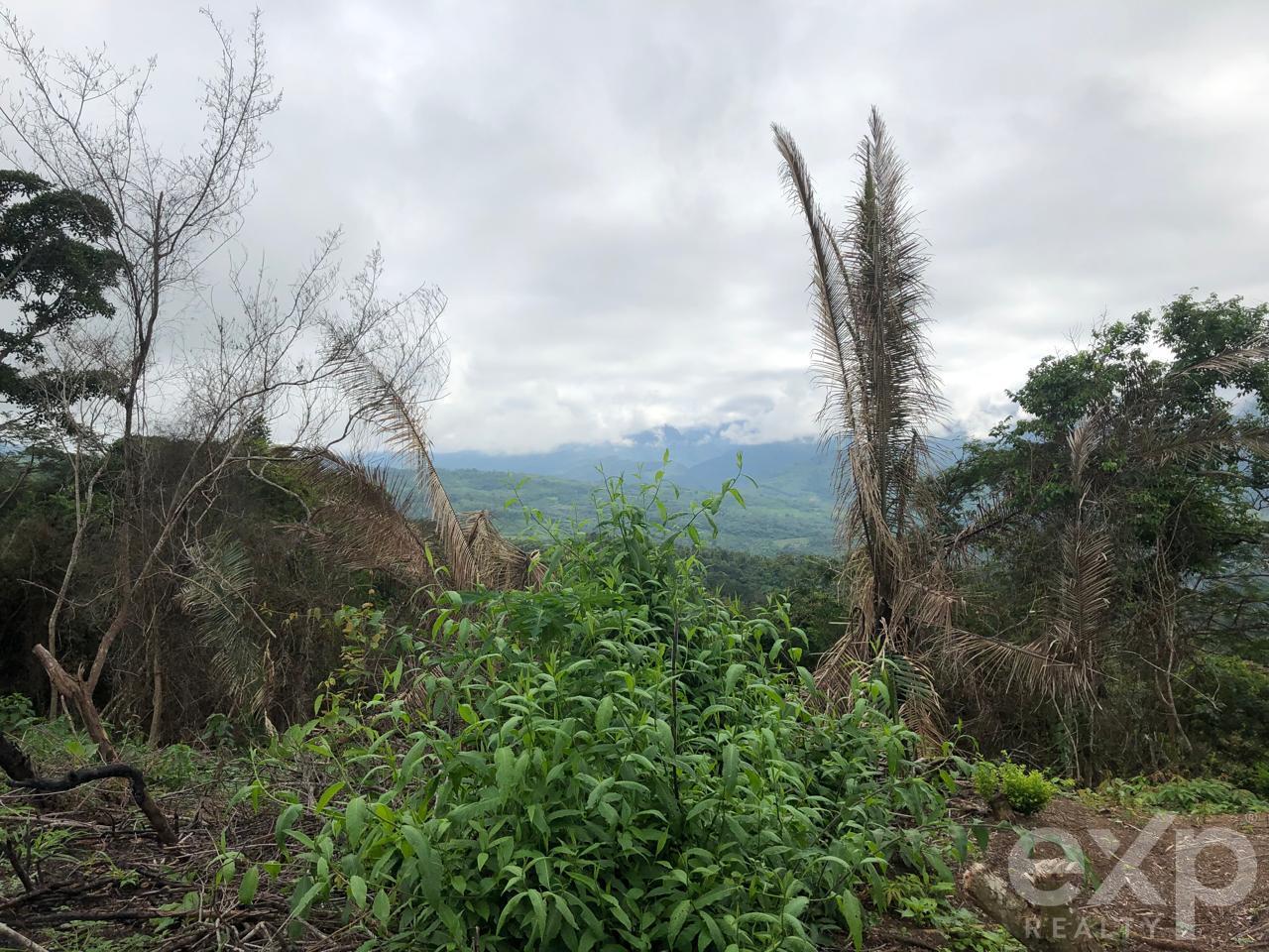 Land en venta en San Martin | SAN MARTIN | Tarapoto, Sector Mamuytachi, Valle Huallaga Central y Bajo Mayo, distrito de San Antonio, Tarapoto – San Martín., 1010 m²