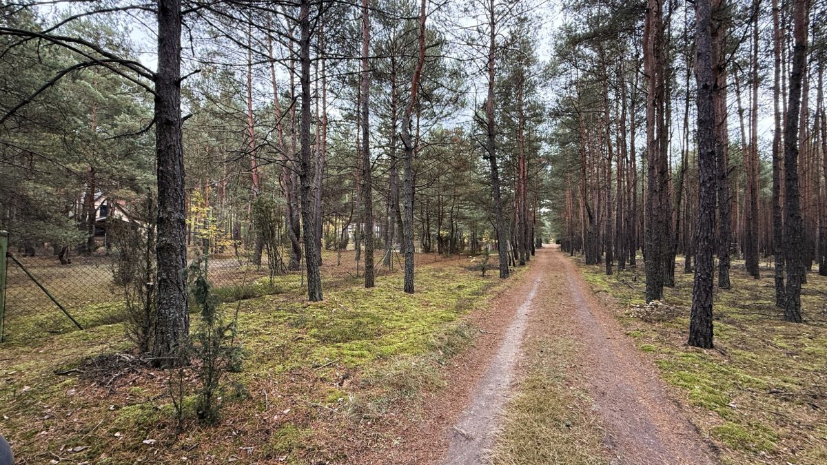 Leśna Rezydencja, 34 ary ciszy niedaleko rzeki