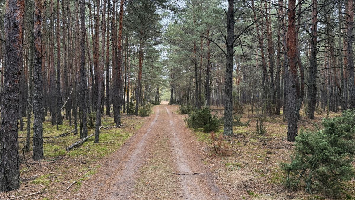 Leśna Rezydencja, 34 ary ciszy niedaleko rzeki