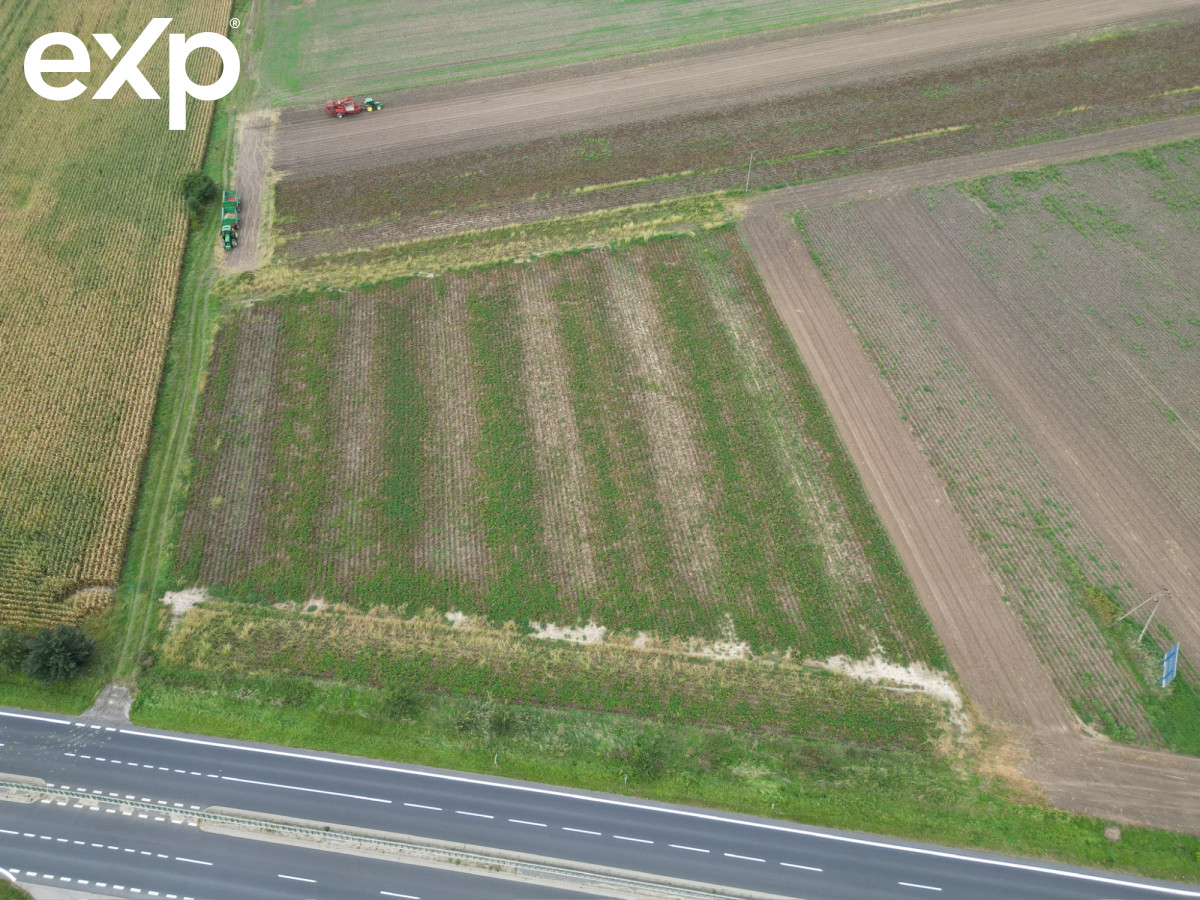 Działka (Inwestycyjna) na sprzedaż w Borowa, Borowa, wrocławski, DOLNOŚLĄSKIE, Polska, 71380 m²