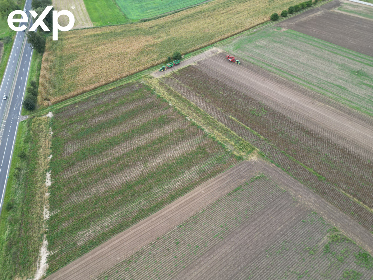 Działka (Inwestycyjna) na sprzedaż w Borowa, Borowa, wrocławski, DOLNOŚLĄSKIE, Polska, 71380 m²