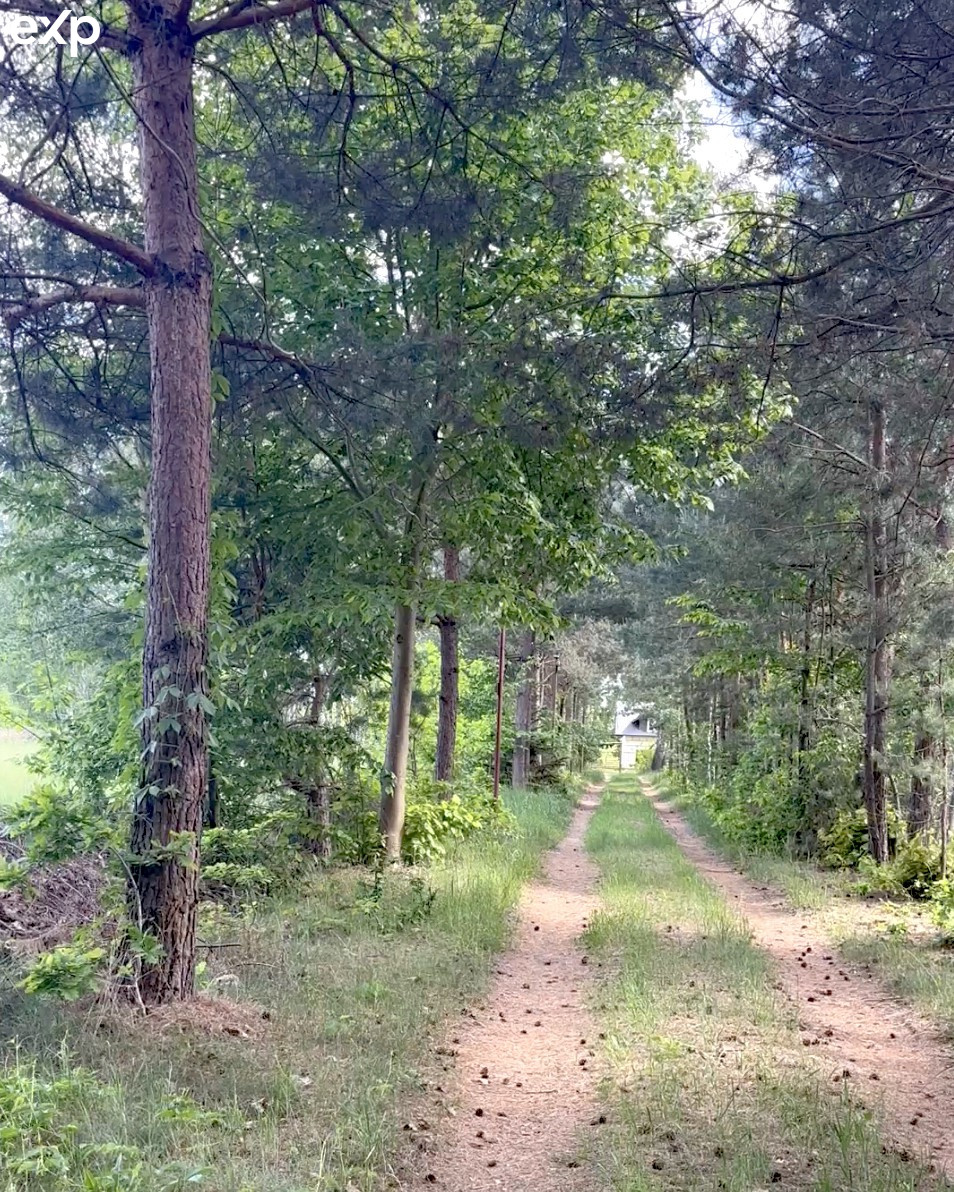 Działka MN, 2,5 ha/ możliwy podział