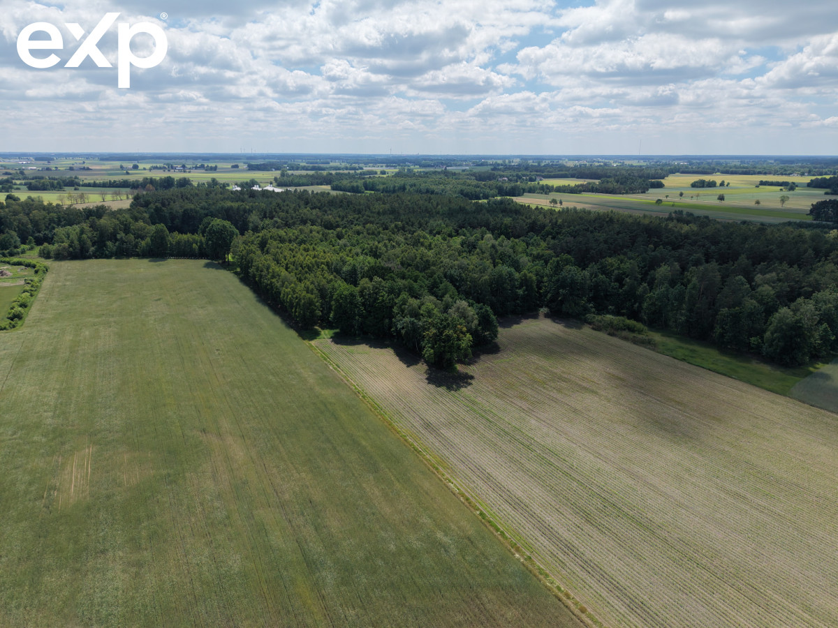 Działka (Mieszkaniowa) na sprzedaż w Rościszewo, 09-204, Rościszewo, sierpecki, MAZOWIECKIE, Polska, 3374 m²