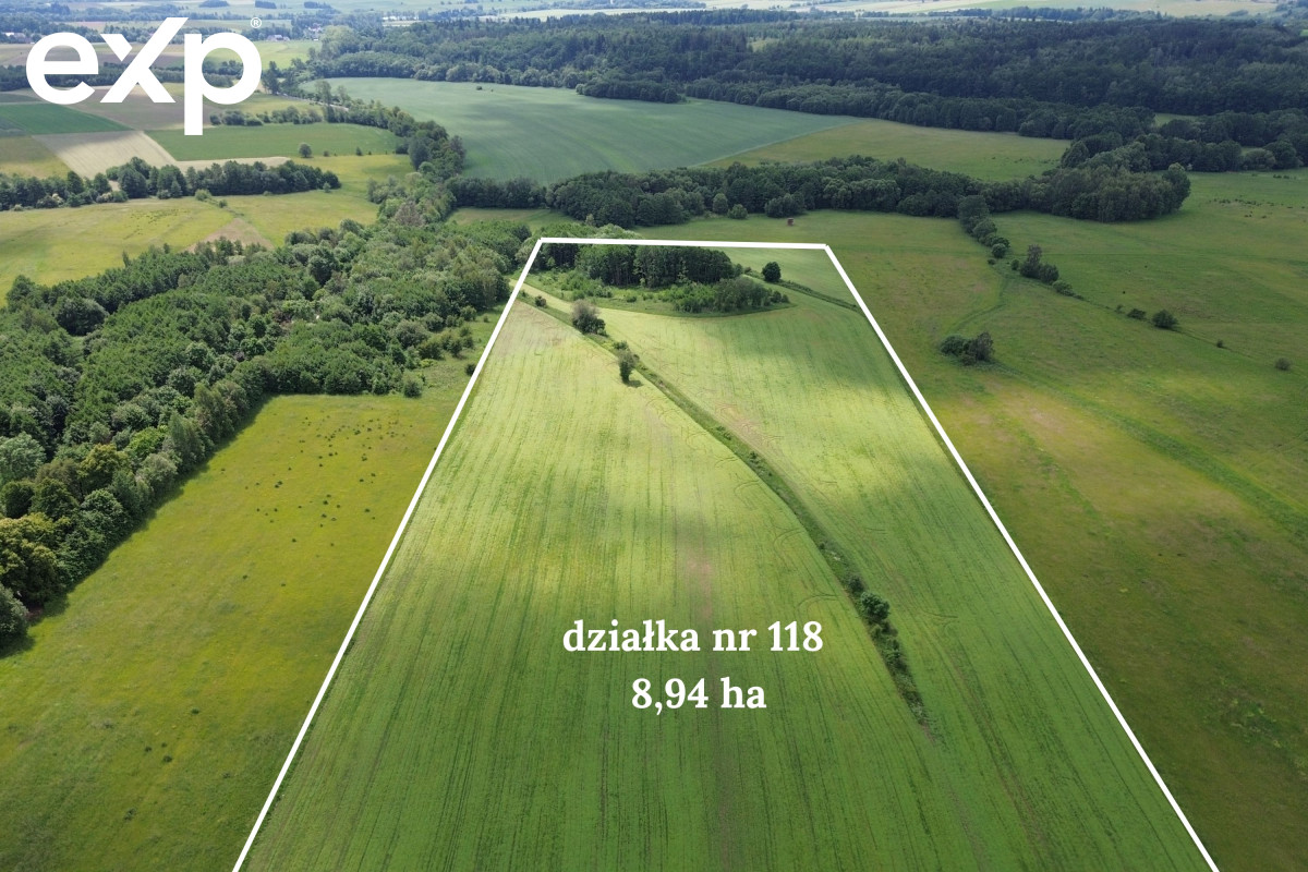 Działka (Rolna) na sprzedaż w Goworów, 57-530, Goworów, kłodzki, DOLNOŚLĄSKIE, Polska, 89400 m²