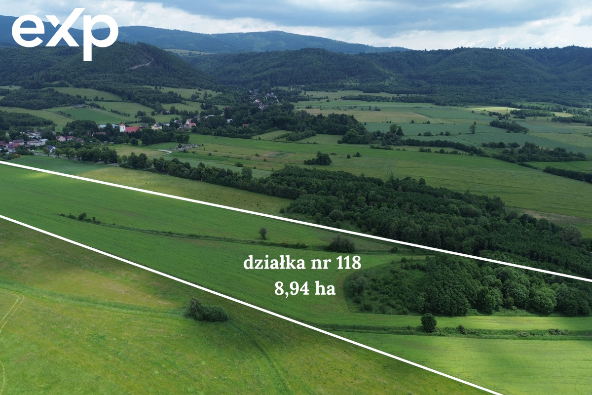 Działka (Rolna) na sprzedaż w Goworów, 57-530, Goworów, kłodzki, DOLNOŚLĄSKIE, Polska, 89400 m²