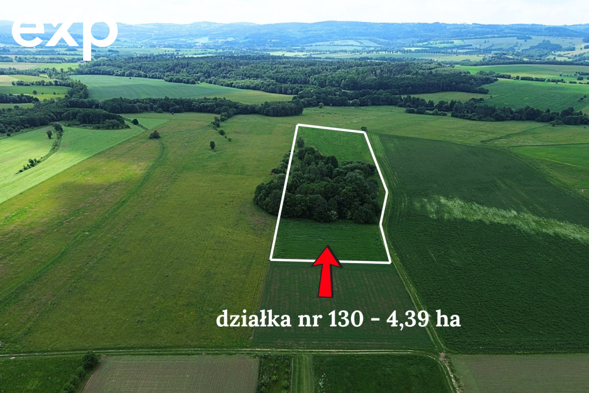 Działka (Rolna) na sprzedaż w Goworów, 57-530, Goworów, kłodzki, DOLNOŚLĄSKIE, Polska, 43900 m²