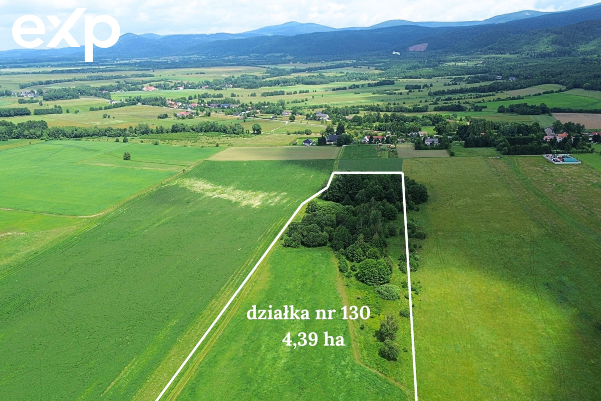 Działka (Rolna) na sprzedaż w Goworów, 57-530, Goworów, kłodzki, DOLNOŚLĄSKIE, Polska, 43900 m²