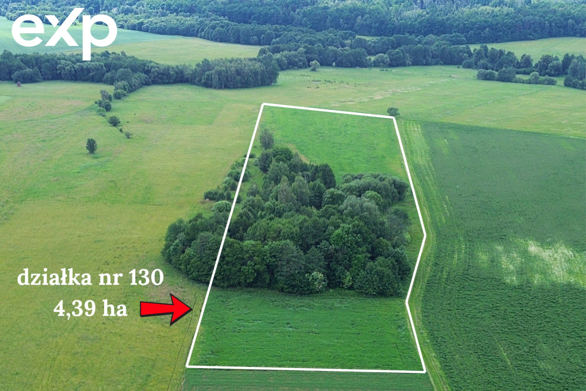 Działka (Rolna) na sprzedaż w Goworów, 57-530, Goworów, kłodzki, DOLNOŚLĄSKIE, Polska, 43900 m²
