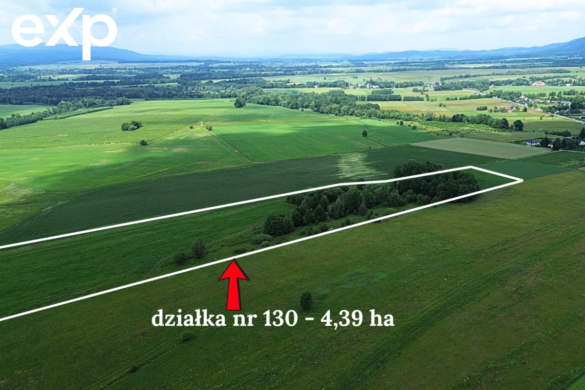Działka (Rolna) na sprzedaż w Goworów, 57-530, Goworów, kłodzki, DOLNOŚLĄSKIE, Polska, 43900 m²