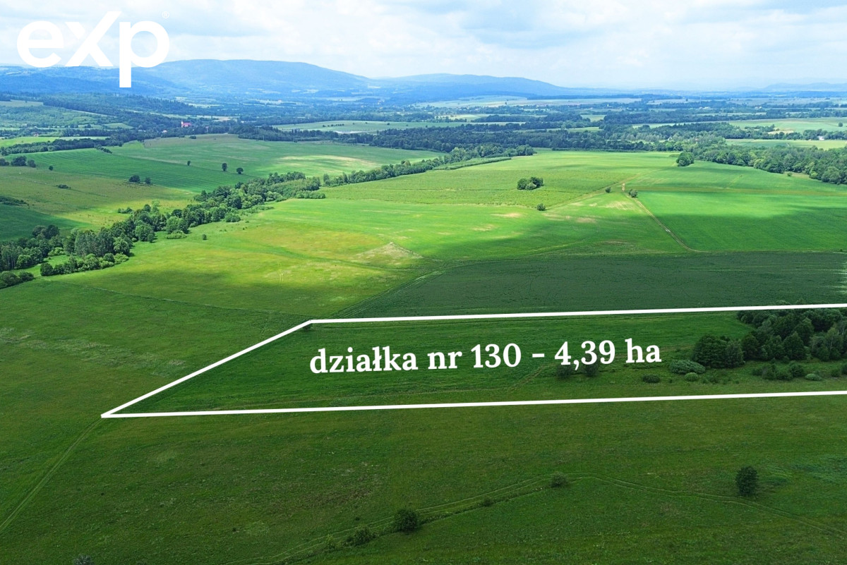Działka (Rolna) na sprzedaż w Goworów, 57-530, Goworów, kłodzki, DOLNOŚLĄSKIE, Polska, 43900 m²