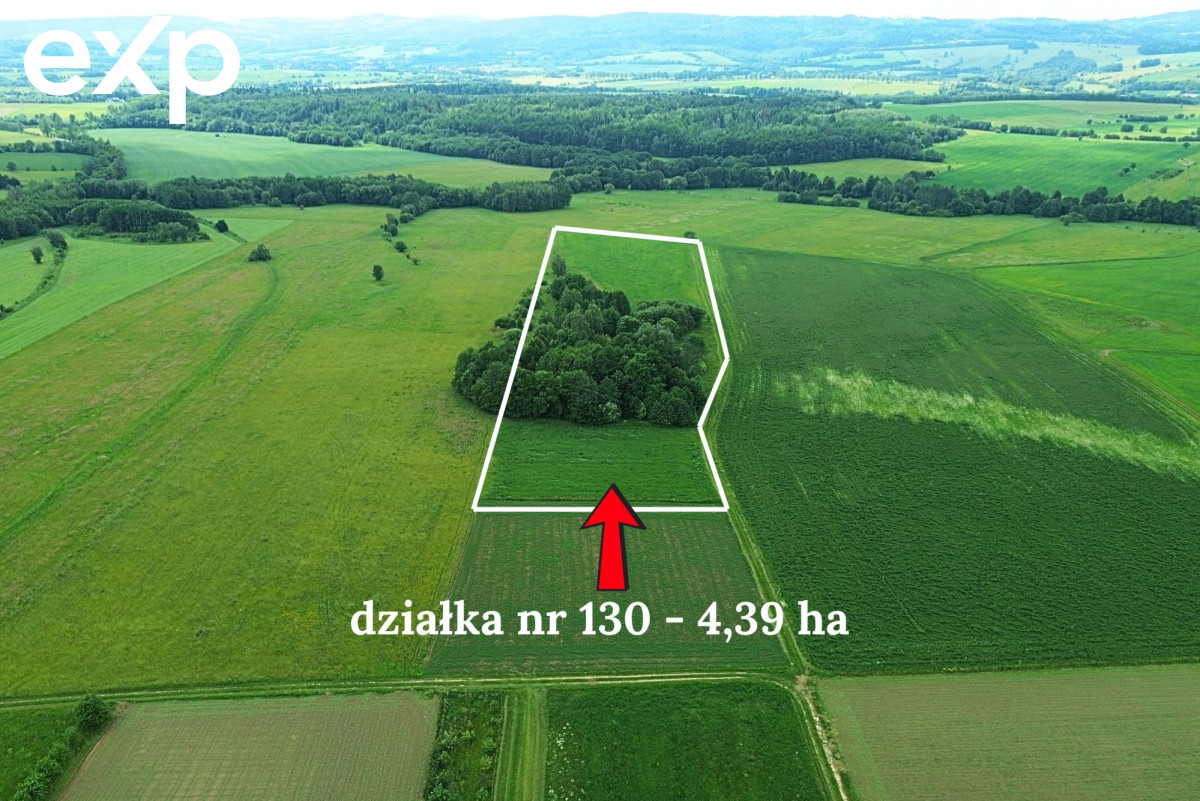 Działka (Rolna) na sprzedaż w Goworów, 57-530, Goworów, kłodzki, DOLNOŚLĄSKIE, Polska, 43900 m²
