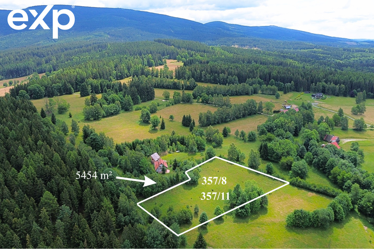 Plot (Investment) for sale in Międzygórze, 57-514, Międzygórze, kłodzki, DOLNOŚLĄSKIE, Polska, 5454 m²