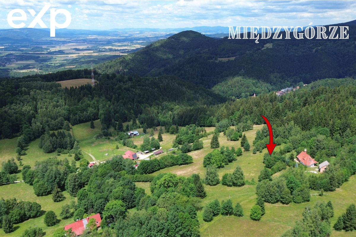 Spektakularna działka z widokiem na Śnieżnik