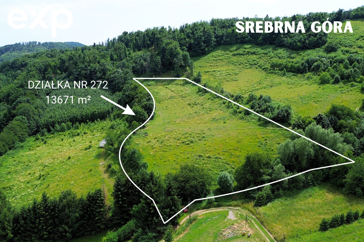 Działka (Inwestycyjna) na sprzedaż w Srebrna Góra, 57-215, Srebrna Góra, ząbkowicki, DOLNOŚLĄSKIE, Polska, 13671 m²