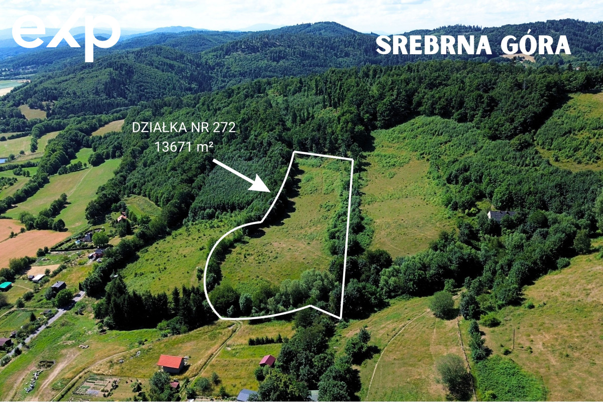 Działka (Inwestycyjna) na sprzedaż w Srebrna Góra, 57-215, Srebrna Góra, ząbkowicki, DOLNOŚLĄSKIE, Polska, 13671 m²