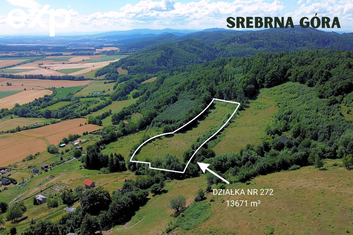 Działka (Inwestycyjna) na sprzedaż w Srebrna Góra, 57-215, Srebrna Góra, ząbkowicki, DOLNOŚLĄSKIE, Polska, 13671 m²