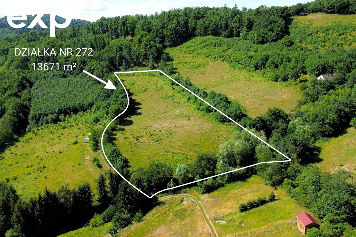 Działka (Inwestycyjna) na sprzedaż w Srebrna Góra, 57-215, Srebrna Góra, ząbkowicki, DOLNOŚLĄSKIE, Polska, 13671 m²