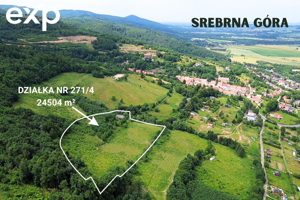 Działka (Inwestycyjna) na sprzedaż w Srebrna Góra, 57-215, Srebrna Góra, ząbkowicki, DOLNOŚLĄSKIE, Polska, 24504 m²