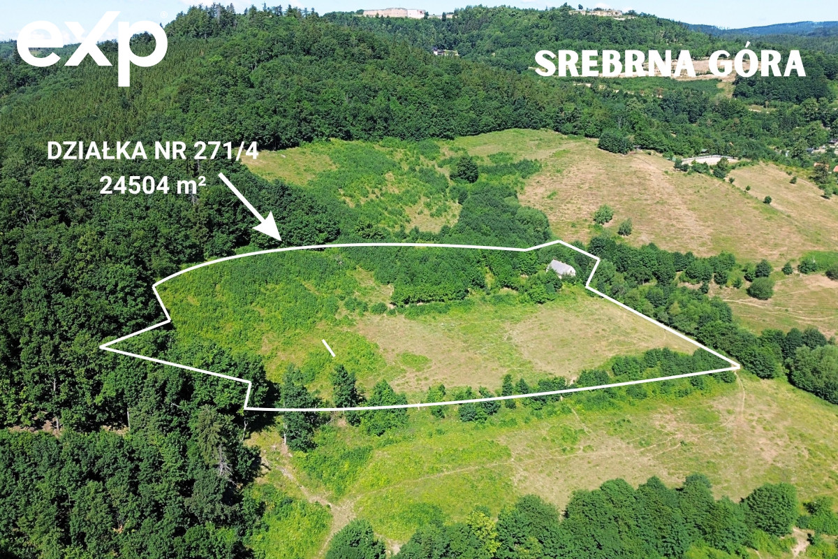 Działka (Inwestycyjna) na sprzedaż w Srebrna Góra, 57-215, Srebrna Góra, ząbkowicki, DOLNOŚLĄSKIE, Polska, 24504 m²
