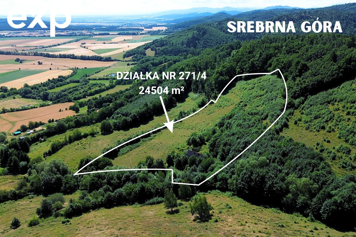 Działka (Inwestycyjna) na sprzedaż w Srebrna Góra, 57-215, Srebrna Góra, ząbkowicki, DOLNOŚLĄSKIE, Polska, 24504 m²