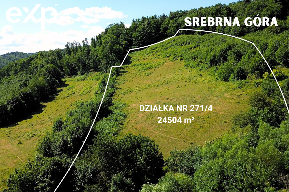 Działka (Inwestycyjna) na sprzedaż w Srebrna Góra, 57-215, Srebrna Góra, ząbkowicki, DOLNOŚLĄSKIE, Polska, 24504 m²