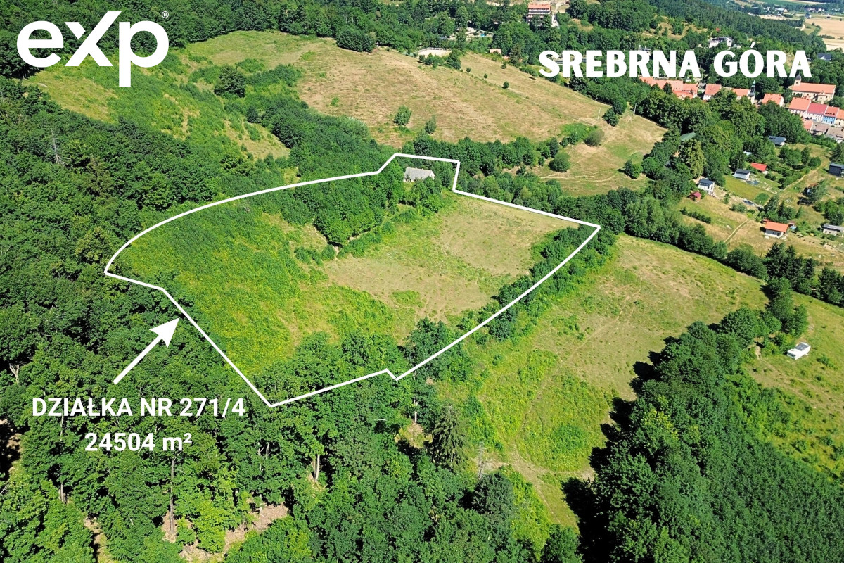 Działka (Inwestycyjna) na sprzedaż w Srebrna Góra, 57-215, Srebrna Góra, ząbkowicki, DOLNOŚLĄSKIE, Polska, 24504 m²