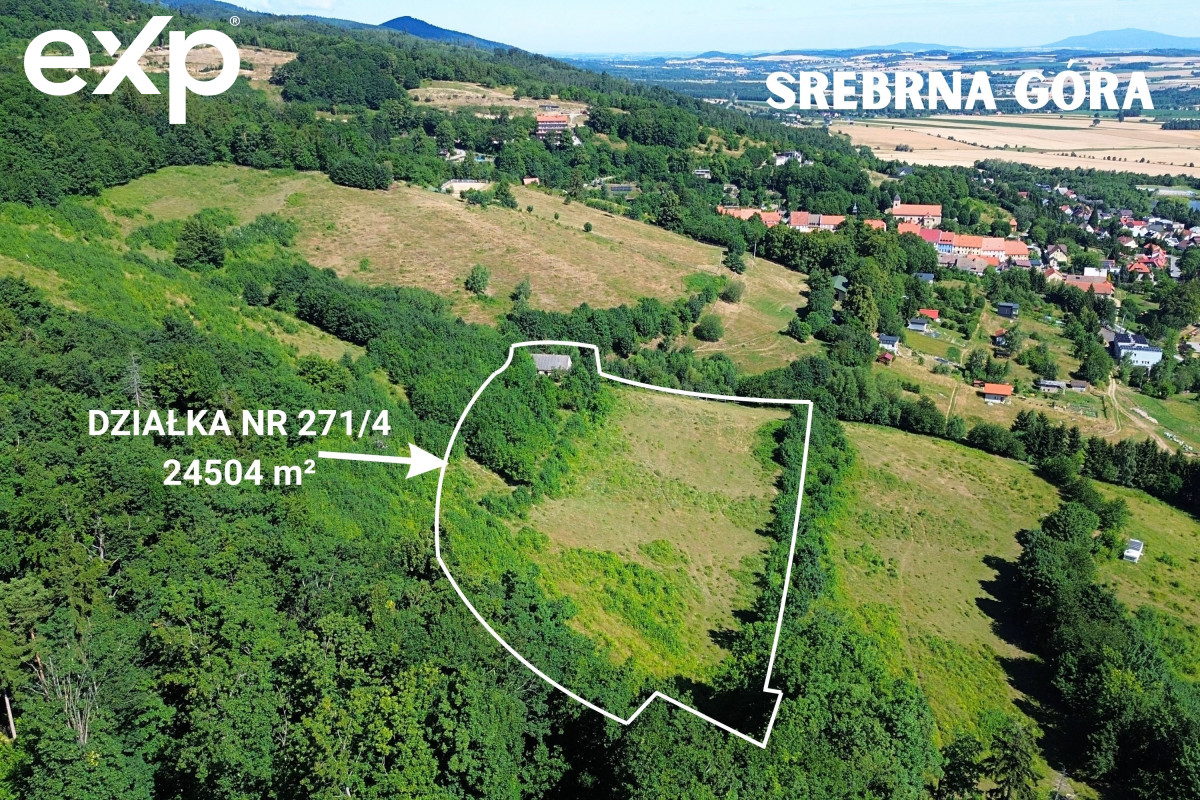 Działka (Inwestycyjna) na sprzedaż w Srebrna Góra, 57-215, Srebrna Góra, ząbkowicki, DOLNOŚLĄSKIE, Polska, 24504 m²