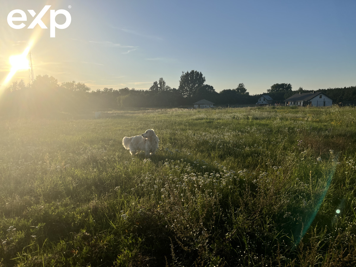 Działka (Budowlana) na sprzedaż w Chynów, 05-650, Chynów, grójecki, MAZOWIECKIE, Polska, 1298 m²
