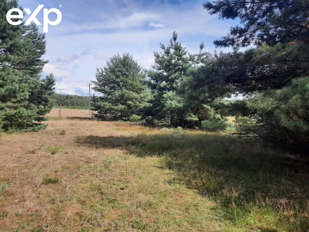 Działka (Siedliskowa) na sprzedaż w Zajączkowo, 62-045, Zajączkowo, toruński, KUJAWSKO-POMORSKIE, Polska, 70600 m²