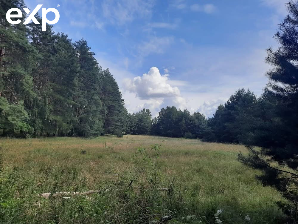Działka (Siedliskowa) na sprzedaż w Zajączkowo, 62-045, Zajączkowo, toruński, KUJAWSKO-POMORSKIE, Polska, 70600 m²