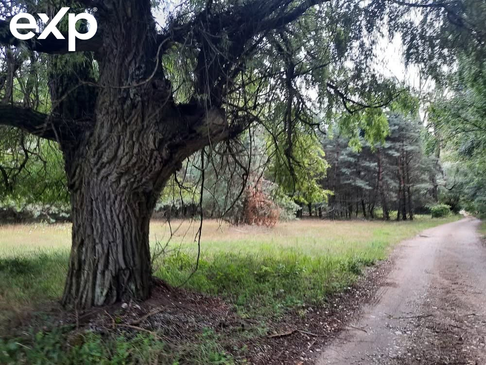 Działka (Siedliskowa) na sprzedaż w Zajączkowo, 62-045, Zajączkowo, toruński, KUJAWSKO-POMORSKIE, Polska, 70600 m²