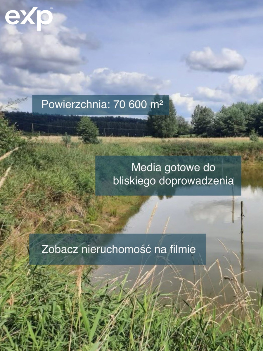 Działka (Siedliskowa) na sprzedaż w Zajączkowo, 62-045, Zajączkowo, toruński, KUJAWSKO-POMORSKIE, Polska, 70600 m²