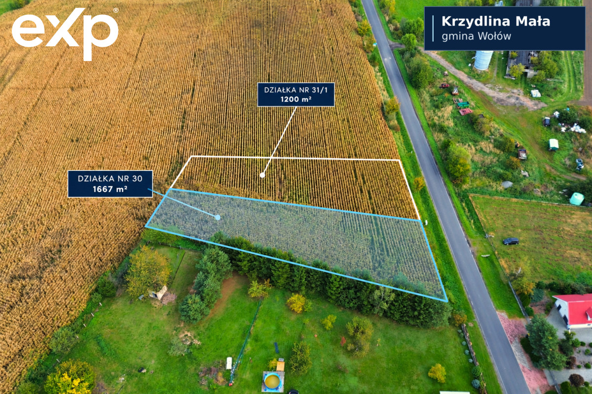 Działka (Pod zabudowę jednorodzinną) na sprzedaż w Wołów, 56-100, Wołów, wołowski, DOLNOŚLĄSKIE, Polska, 1667 m²