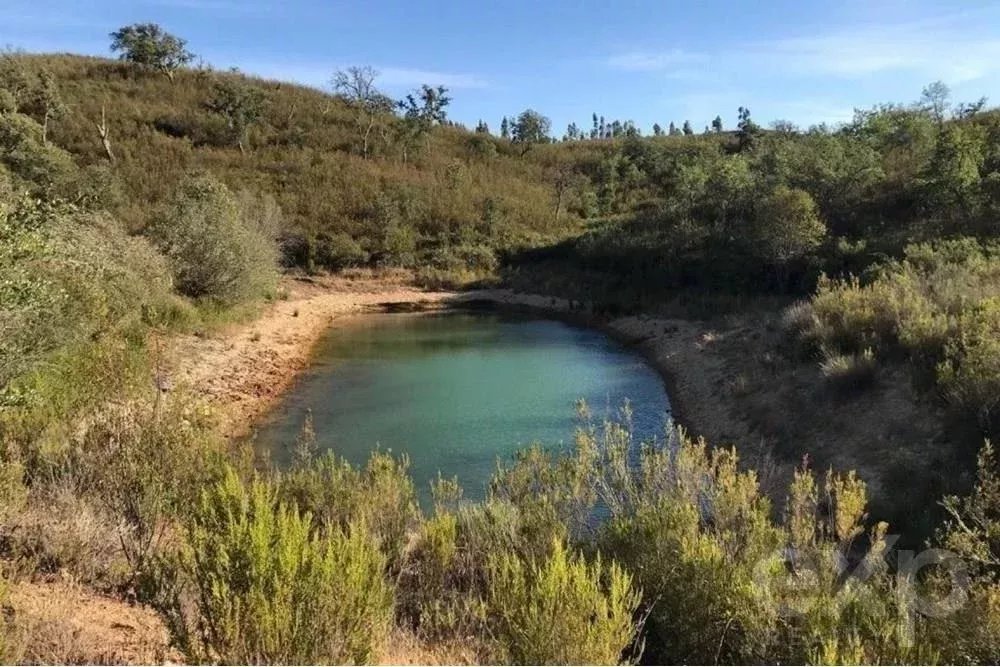 Exceptional estate of 65 hectares in the Alentejo with potential for tourism development 85506160 image 8