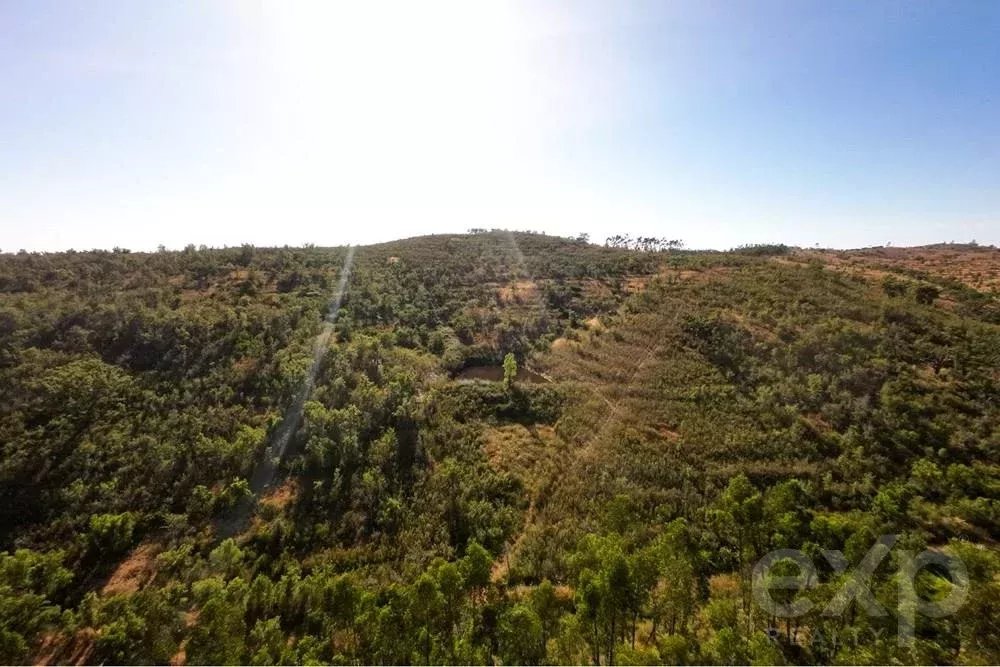 Exceptional estate of 65 hectares in the Alentejo with potential for tourism development 85506160 image 47