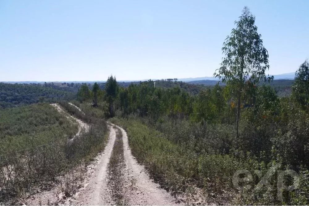 Exceptional estate of 65 hectares in the Alentejo with potential for tourism development 85506160 image 18