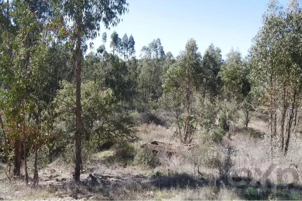 Exceptional estate of 65 hectares in the Alentejo with potential for tourism development 85506160 image 32