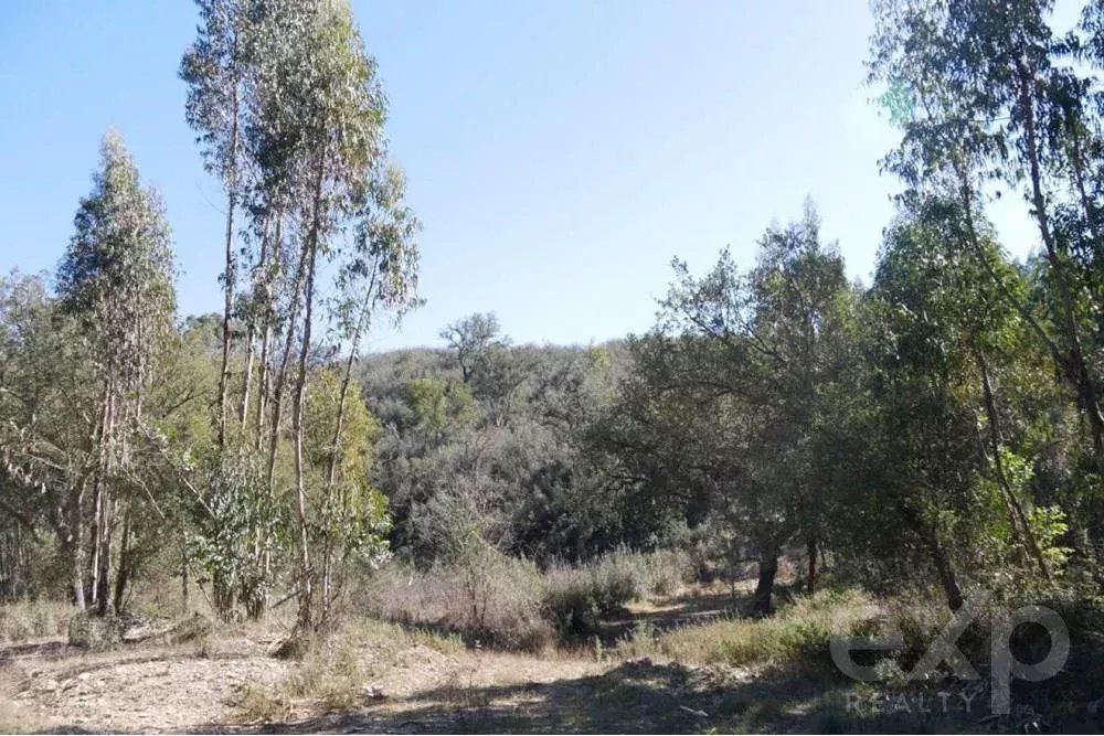 Exceptional estate of 65 hectares in the Alentejo with potential for tourism development 85506160 image 24