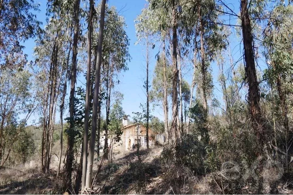 Exceptional estate of 65 hectares in the Alentejo with potential for tourism development 85506160 image 35