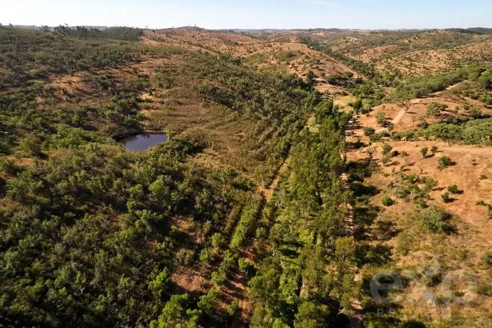 Excecional Herdade de 65 hectares no Alentejo com potencial de desenvolvimento turístico