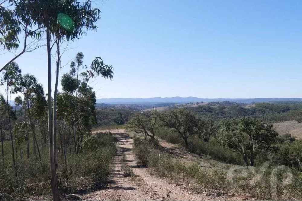 Exceptional estate of 65 hectares in the Alentejo with potential for tourism development 85506160 image 20